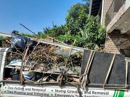 Best Basement Cleanout  in Jarales, NM