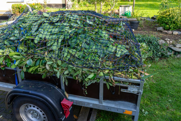 Best Same-Day Junk Removal Services  in Jarales, NM